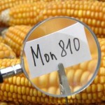 NEWS_61809
