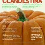 ZUCCHE_CLANDESTINE_WEB_4-01 (1)