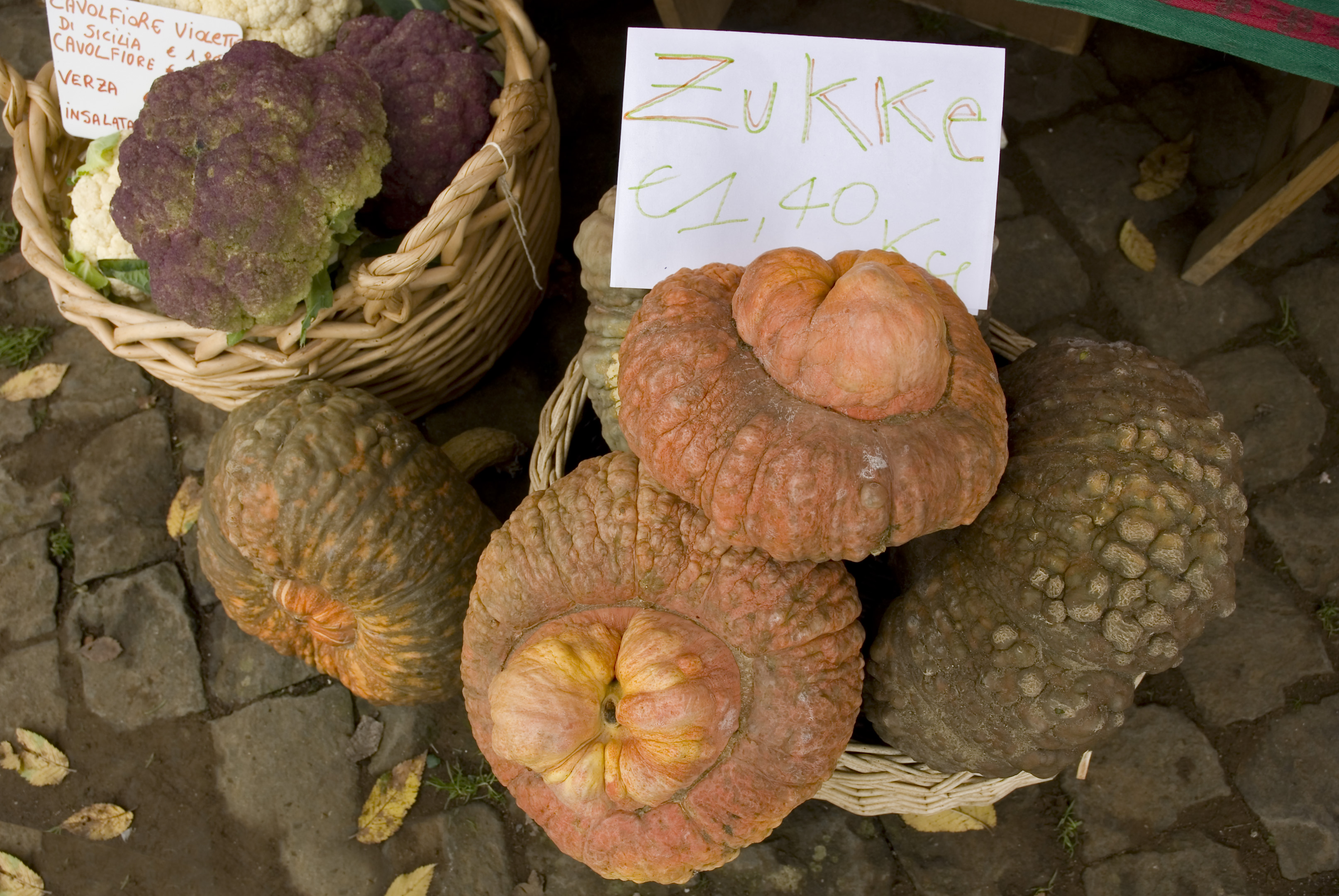 zucca